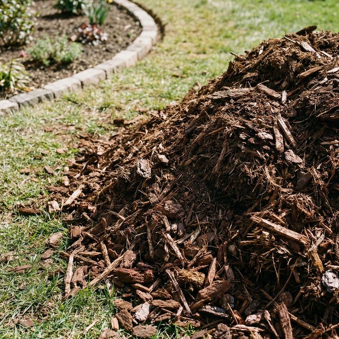 Blog 2 ImagesArtboard 4.jpg