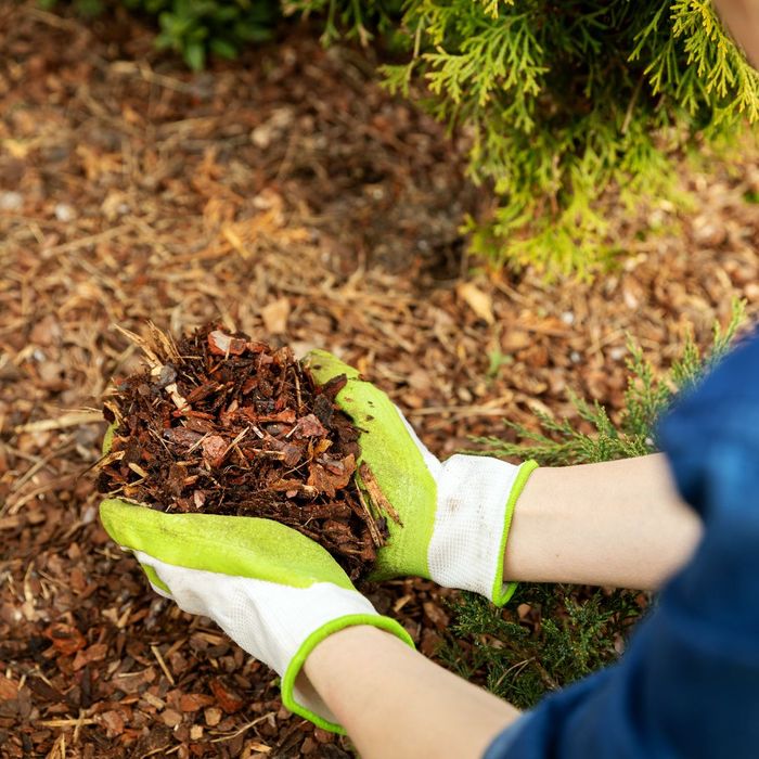 wood mulch