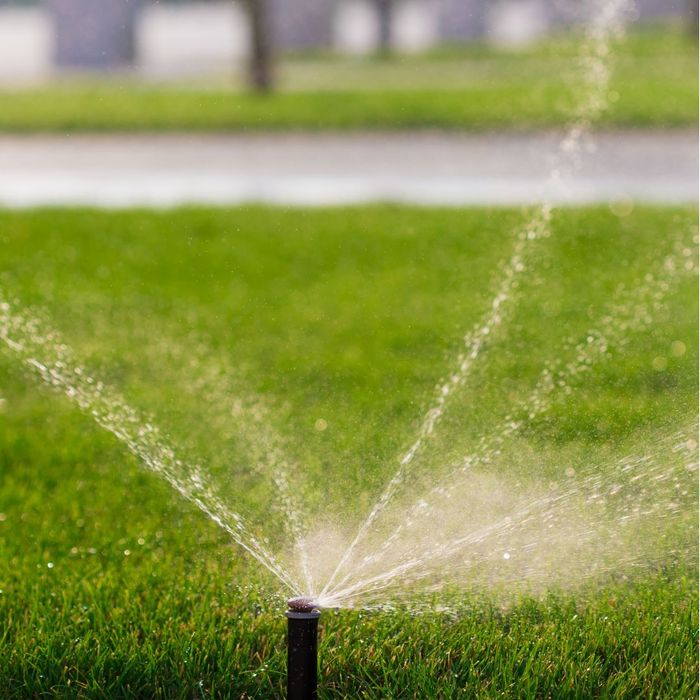 Water Your Lawn Regularly.jpg