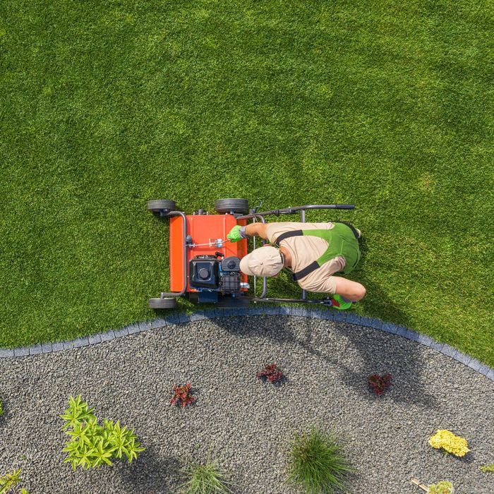 The Ultimate Guide to Transforming Your Yard_IMG-2.jpg