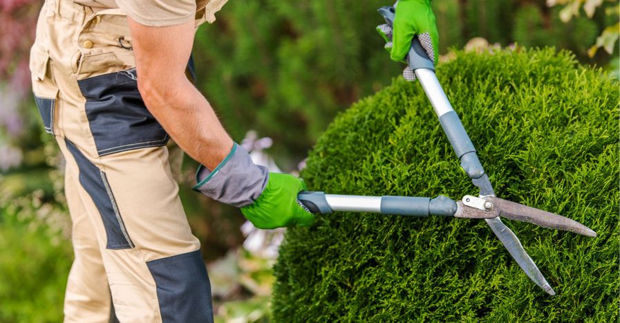 M35619 - Blog - How to Choose the Best Landscape Contractors in Charlotte, NC-BigHero.jpg