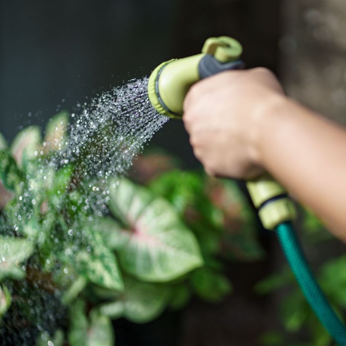 4 Landscaping Maintenance Dos and Don'ts (3).jpg