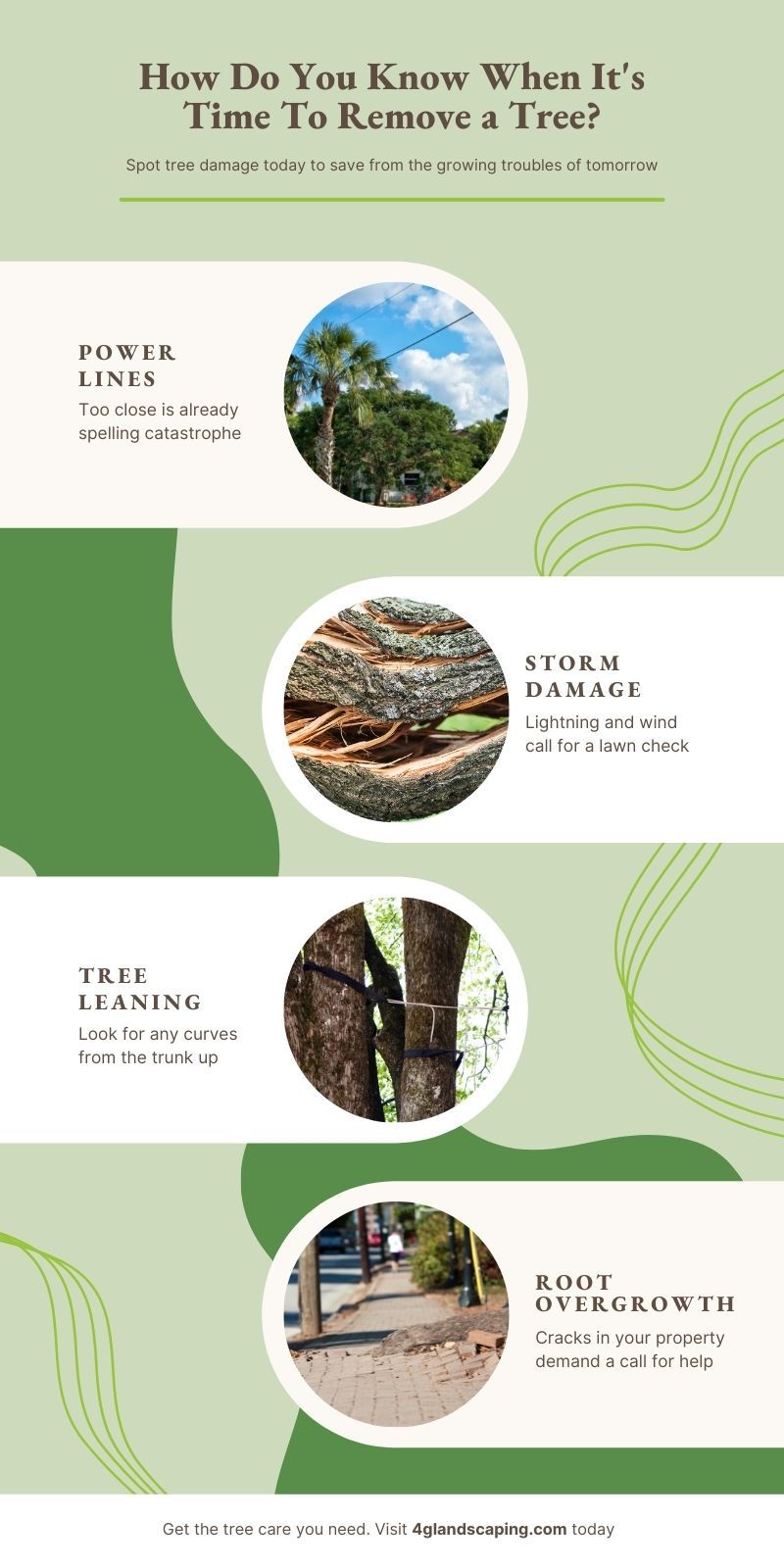 How Do You Know When It's Time to Remove A Tree Infographic