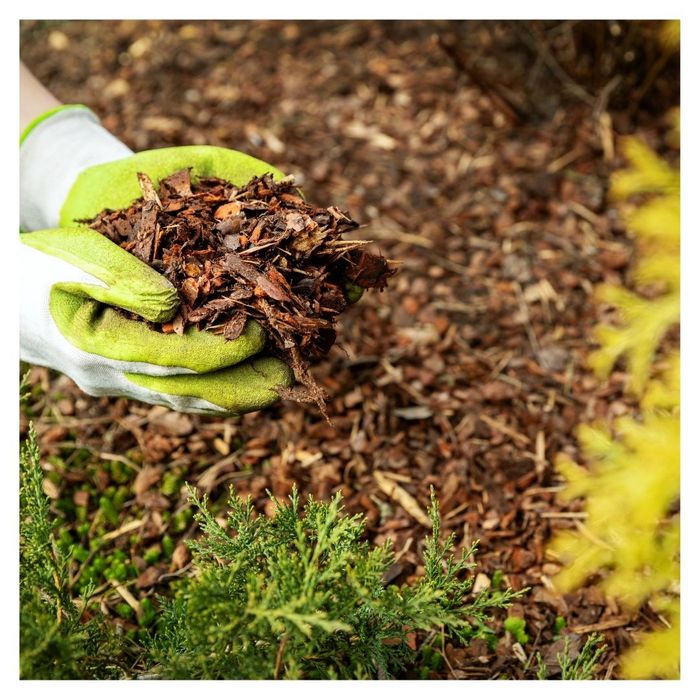 mulch close up 