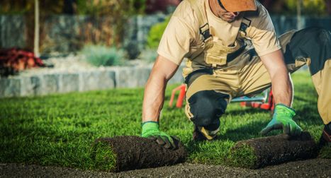 Four Services the Landscaping Company You Choose Should Offer  - Feature.jpg