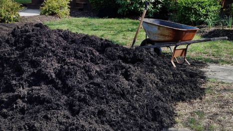 mulch installation service 