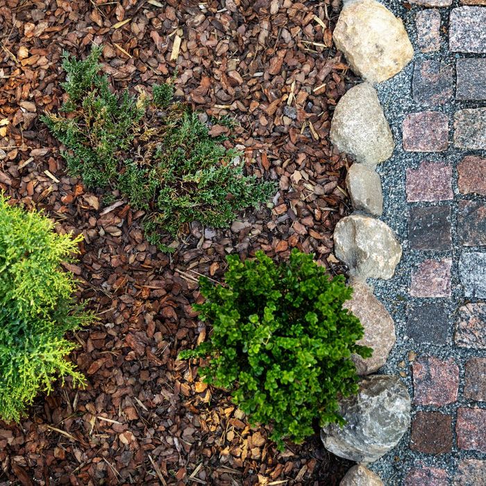 wood mulch in yard