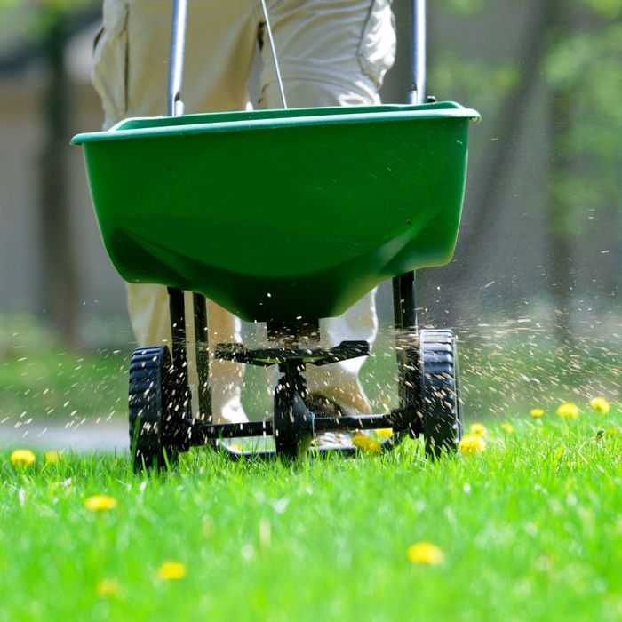 Fertilize Your Lawn.jpg