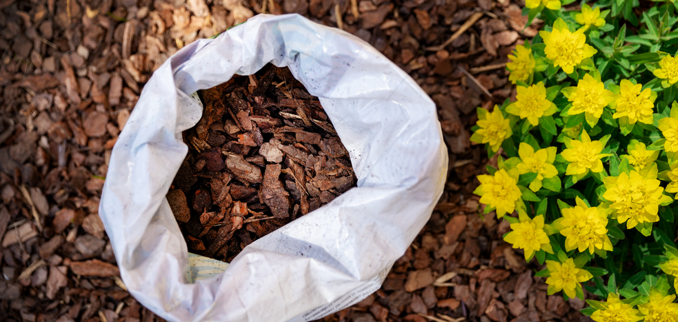 Untitled design (2).png