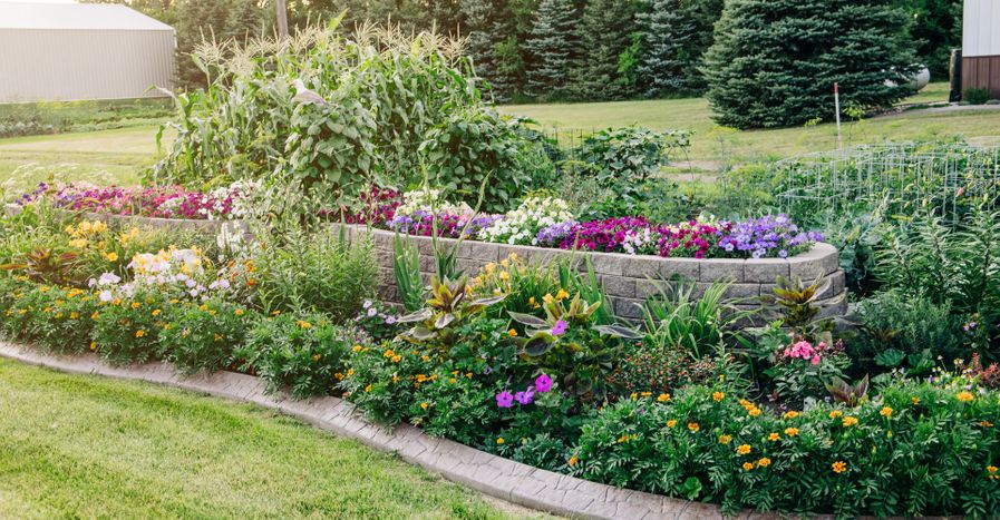 Beautiful flower bed