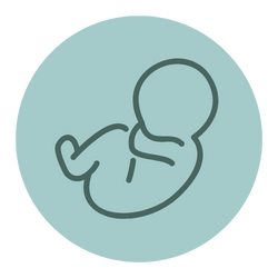Newborn & Infant Care icon