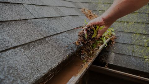 M8215 - Why Regular Gutter Cleaning Is Important .jpg