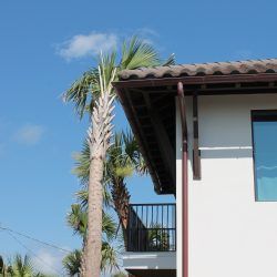 New Half-Round Gutters and Downspout