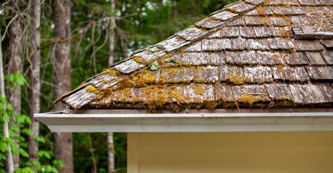 Aluminum gutter on a mossy roof