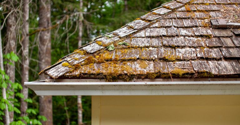Aluminum gutter on a mossy roof