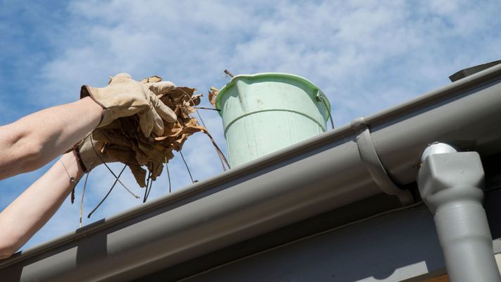 gutter cleaning