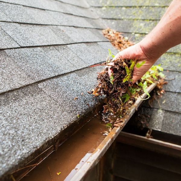 Regular cleaning and maintenance of gutters