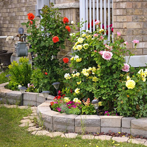 flower bed outside home