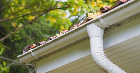 Leaves in a home gutter