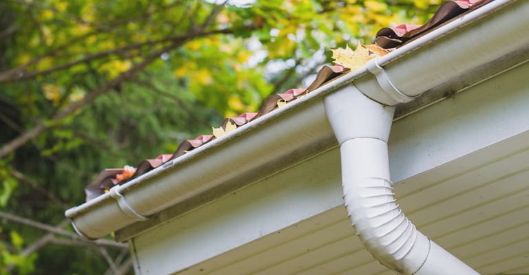 Leaves in a home gutter