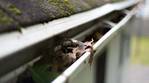 gutters with debris in them