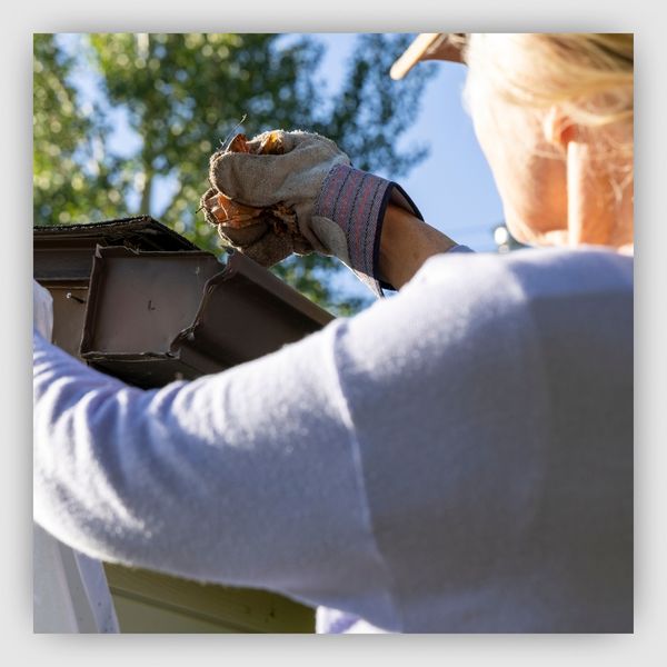 Woman taking leaves out of gutter