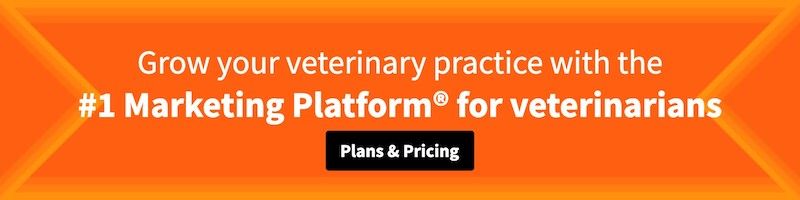veterinarian marketing cta.jpg