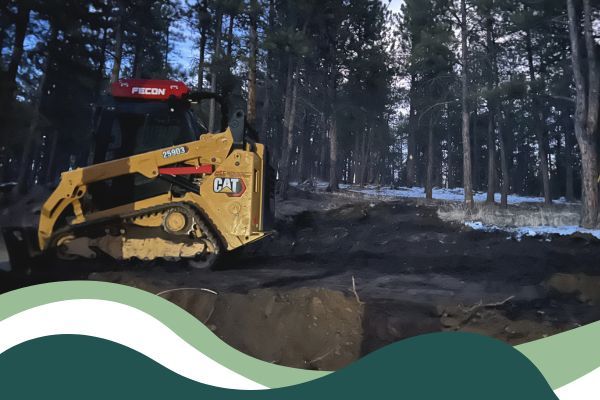 Land Clearing 3.jpg