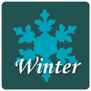 Winter.png
