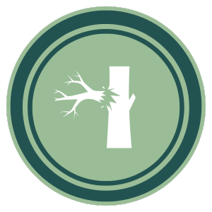 cracked limb.png