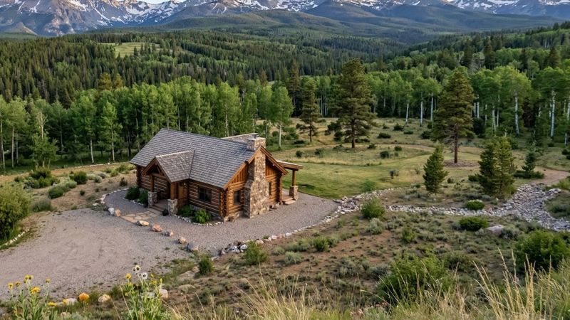 The Benefits of Removing Dead or Dying Trees for Fire Prevention - Featured Image.jpg