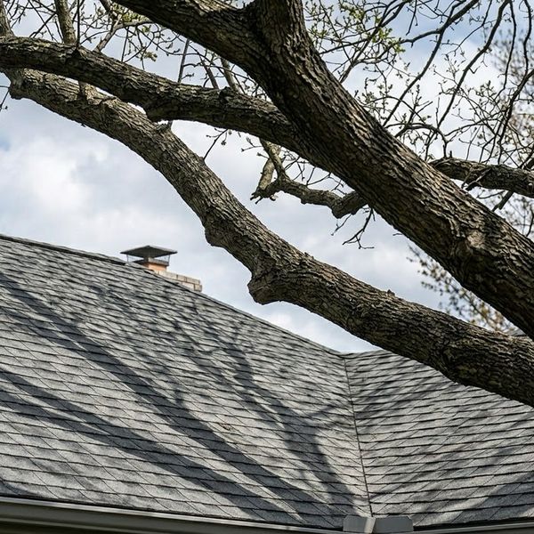 overroof.jpg