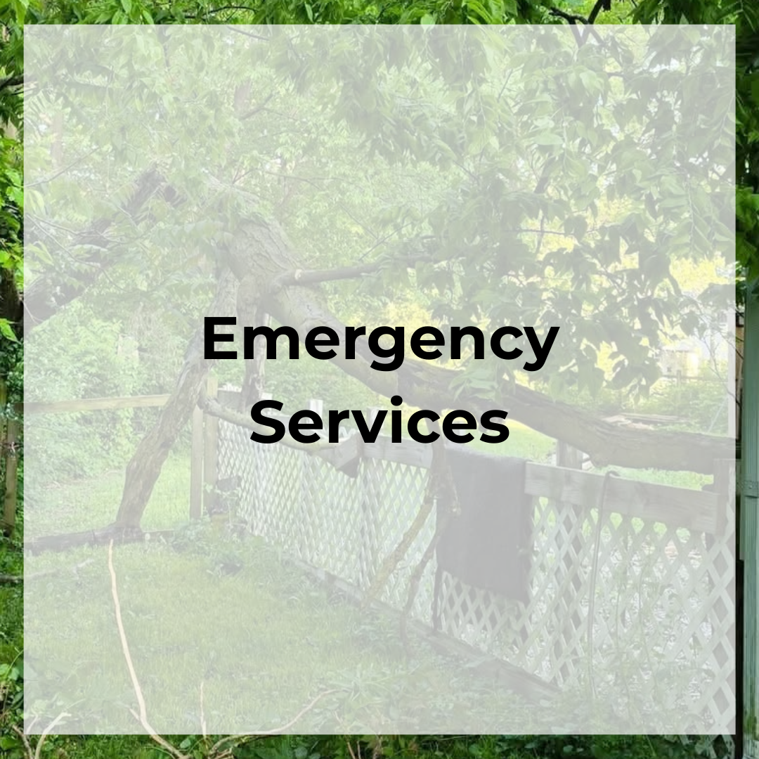 Emergency Services.png