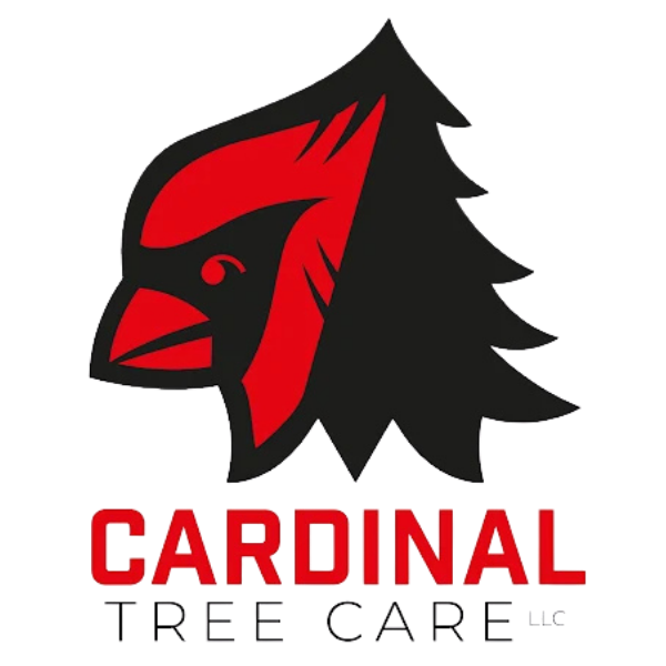 Cardinal Tree Care