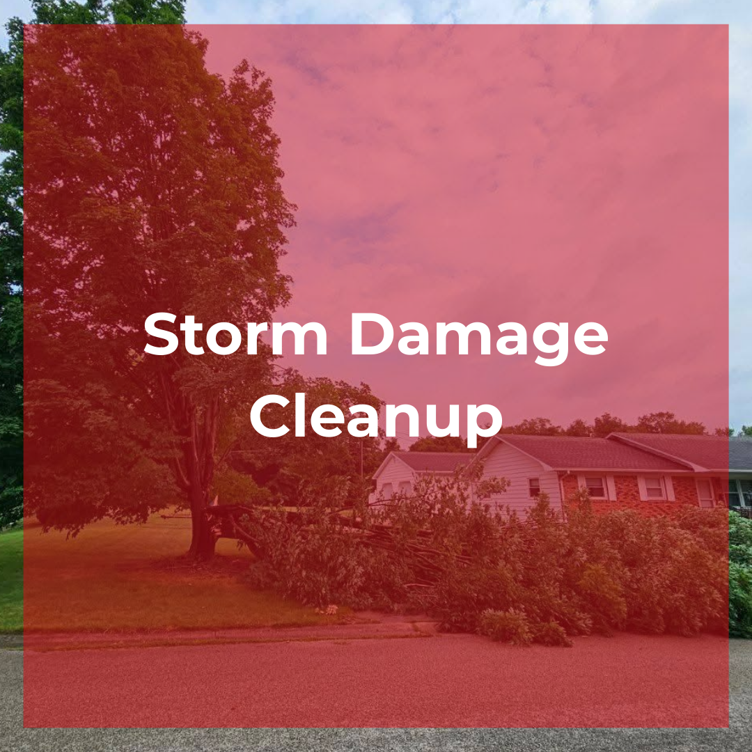 Storm Damage Cleanup.png