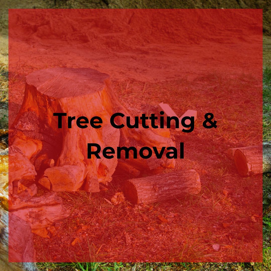 Tree Cutting & Removal.png
