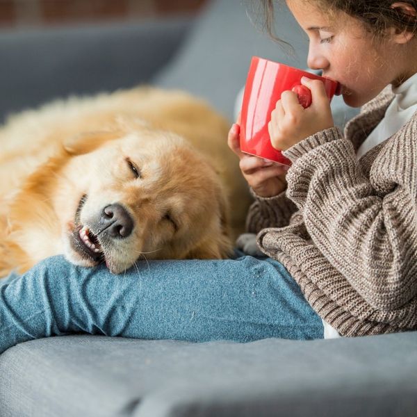 dog laying child's lap on a couch
