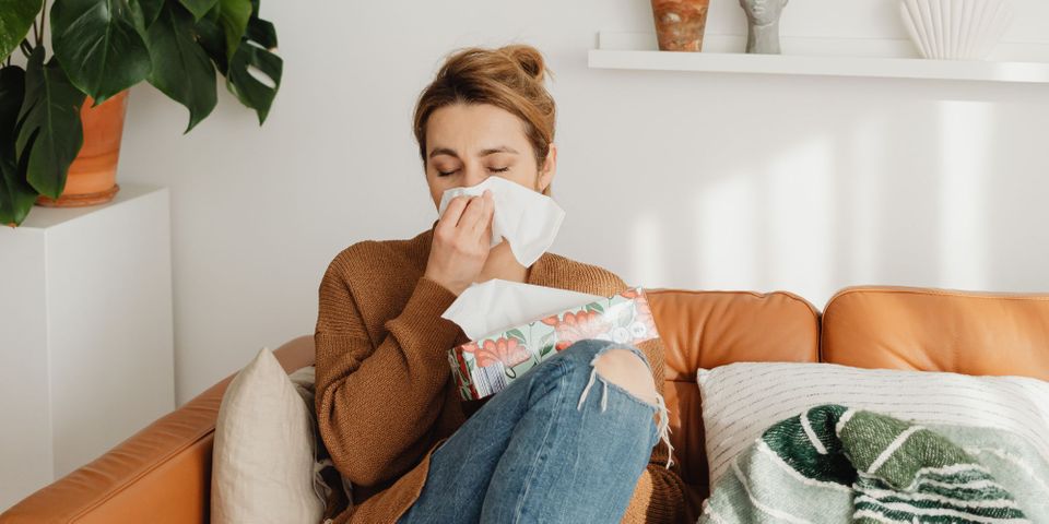 Hero How to Improve Indoor Air Quality.jpg