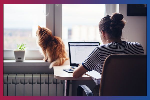 Woman on computer in home with her cat