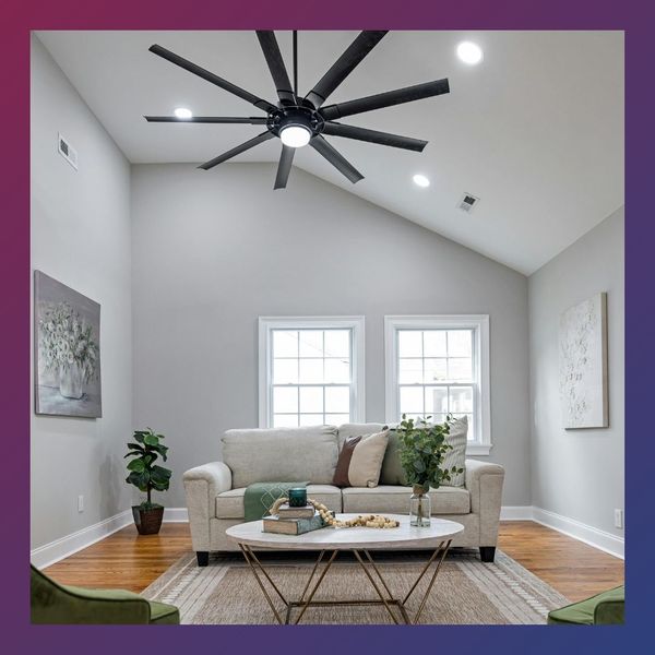 ceiling fan ceiling fan