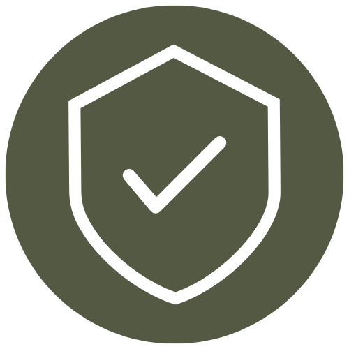 Badge Rev Icon.png