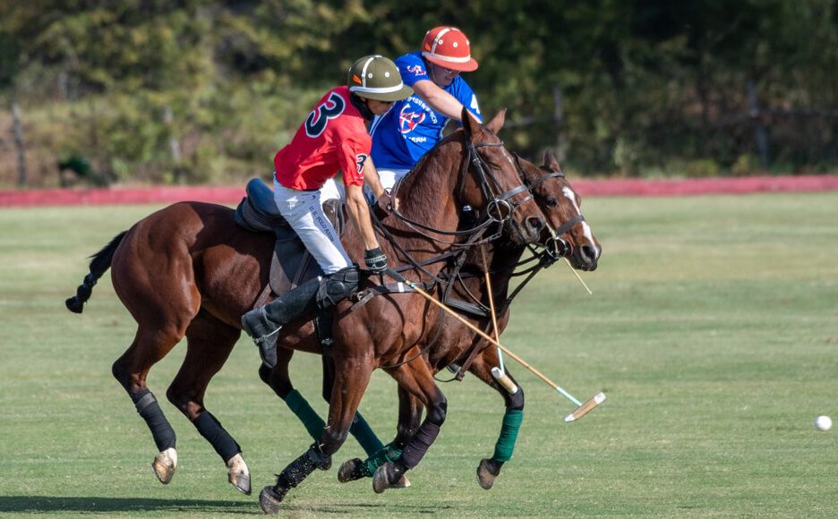 Polo players during match