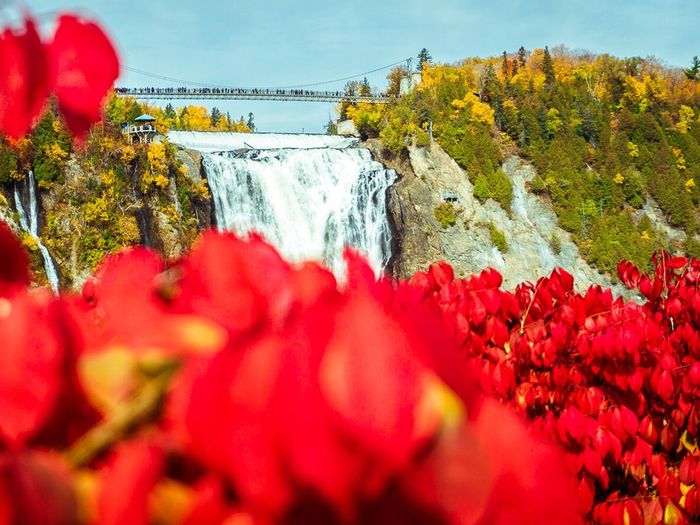 Montmorency Heavens photo print for sale by ST4M1NA featuring red flowers and the Montmorency Falls in Quebec.