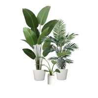 Web Photos_Plants .png