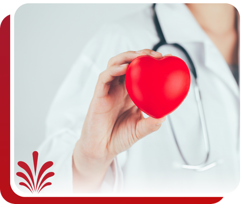doctor holding a fake heart doctor holding a fake heart