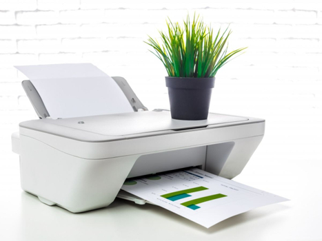 printer and plant