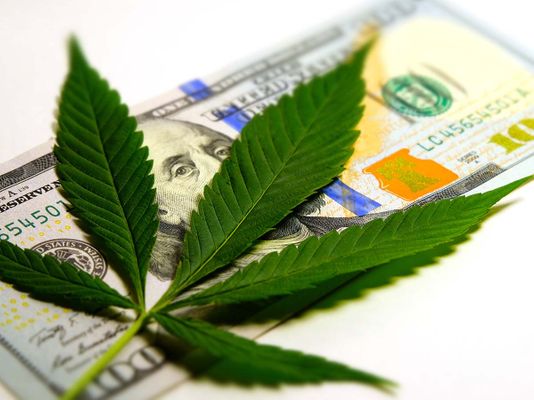 A marijuana leaf sitting atop a 100 dollar bill