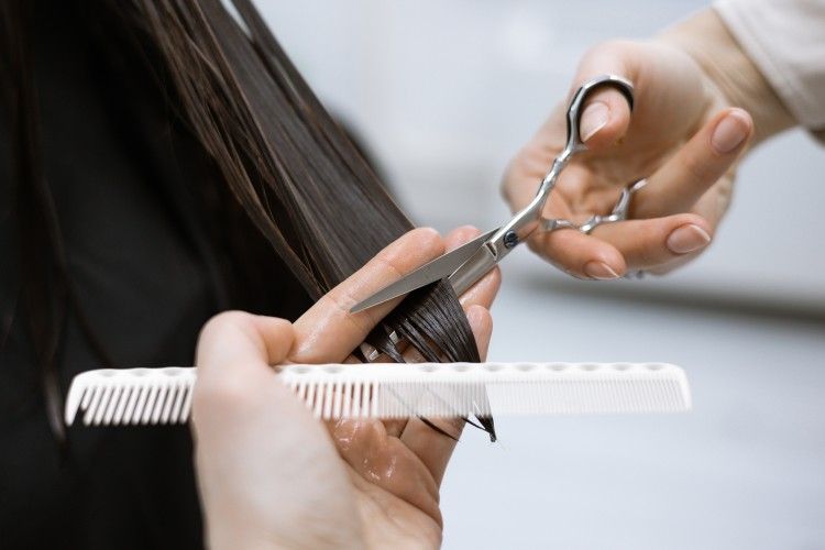 adult-barber-beautician-beauty-brunette-care-caucasian-client-coiffeur-coiffure-comb-customer-cut_t20_R0R2Ra.jpg