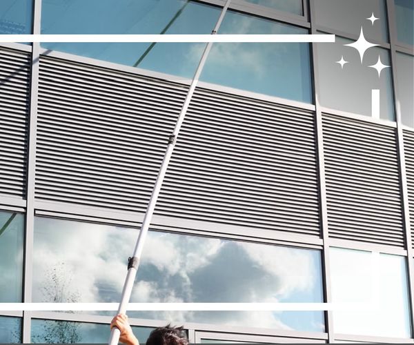 Commercial Window Washers