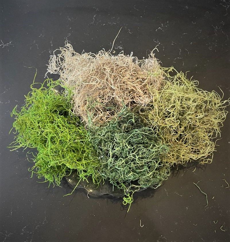 Preserved Spanish Moss - Spring Green